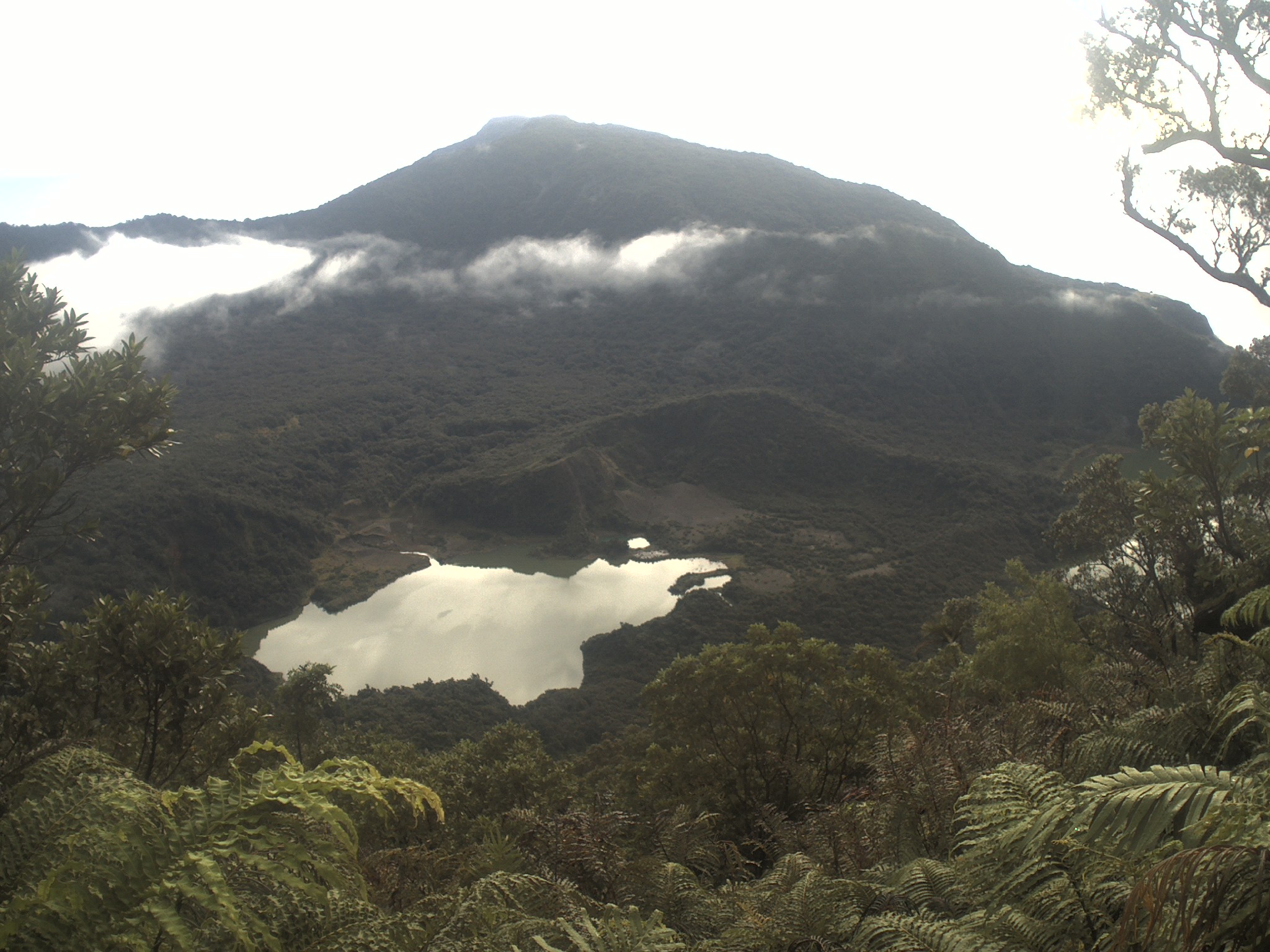 Raoul Island